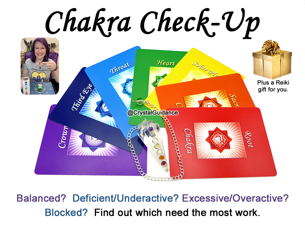 Chakra Check Session